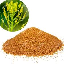 خاکشیر اعلا